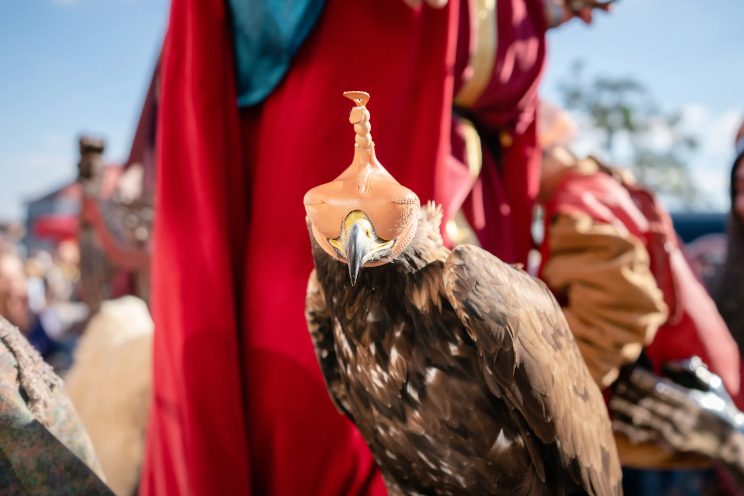 Espectáculo de Puy du Fou. Alojamiento en Toledo centro cerca de puy du fou